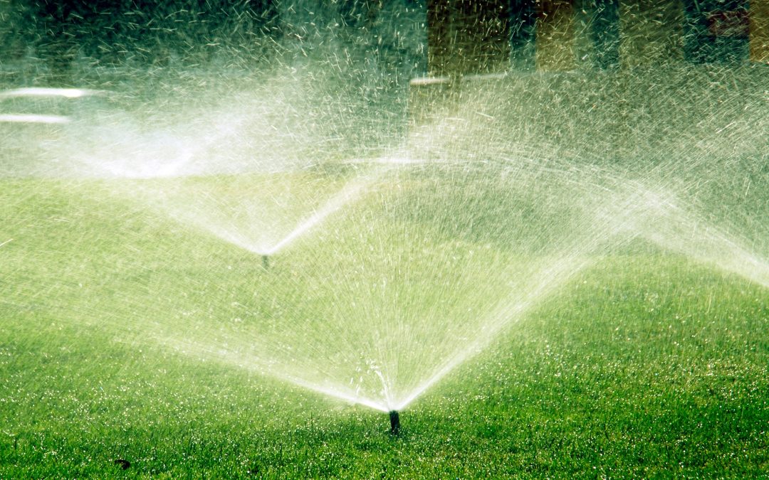 Are You Watering Your Lawn!